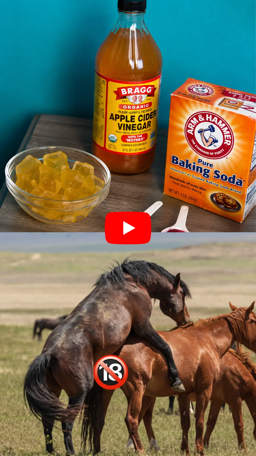 Horse gelatin ritual explanation image